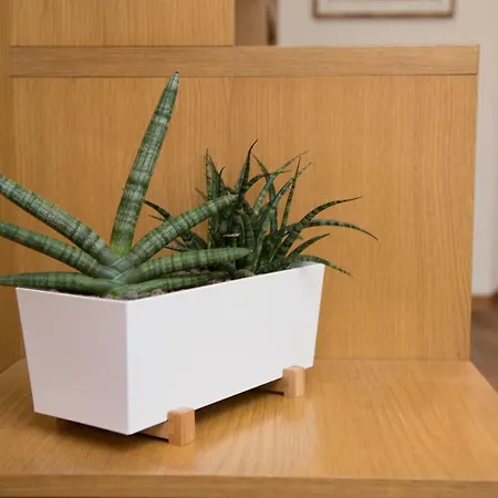 Apartamento Amoroma Francesca *